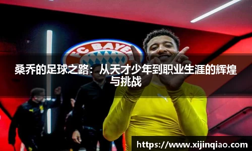 芒果体育官网入口