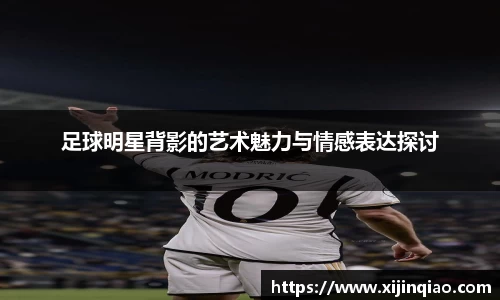芒果体育官网入口