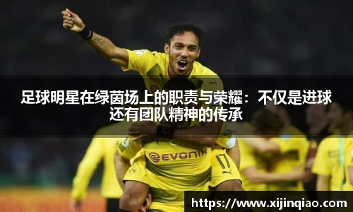 足球明星在绿茵场上的职责与荣耀：不仅是进球还有团队精神的传承