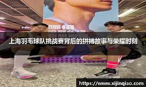 上海羽毛球队挑战赛背后的拼搏故事与荣耀时刻