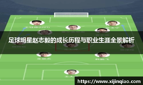 足球明星赵志毅的成长历程与职业生涯全景解析